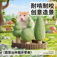 仓鼠兔子磨牙零食造景卡诺露营丛林磨牙零食兔兔耐磨类型零食