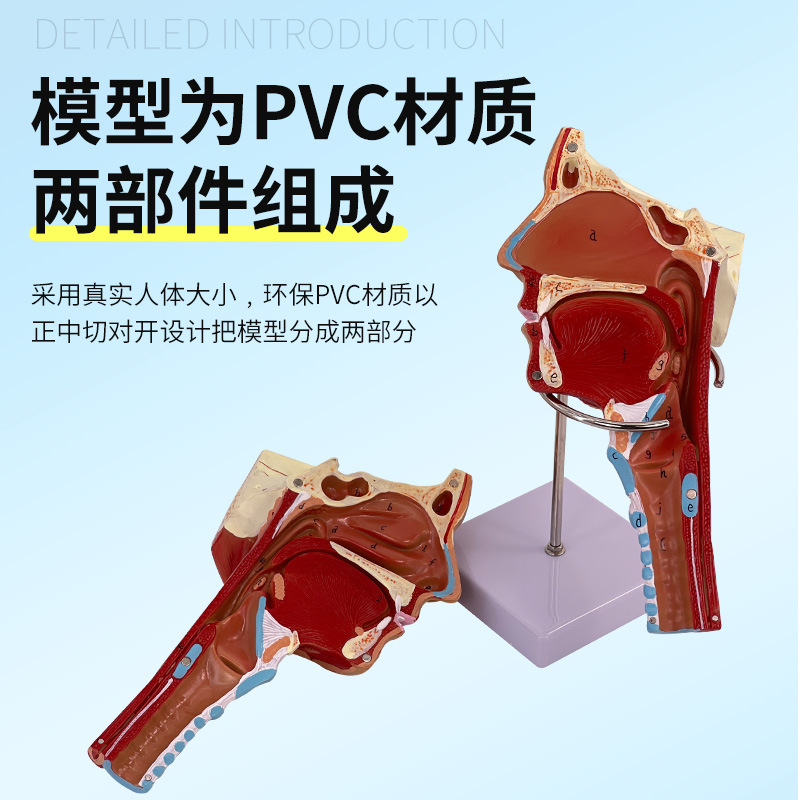 �ǡ��ڡ��ʡ���ǻģ�� �ʼ� ͷ������ǻ����ʸ״����­�Ǳ��и���