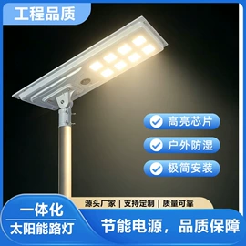 草坪灯;道路照明灯;其他室外照明