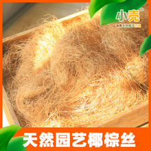 Ҭ�ػ���@ˇС��Ҭ�z�������ɳ�l�|Ҭ�ؽz�廨��䚤�z�w