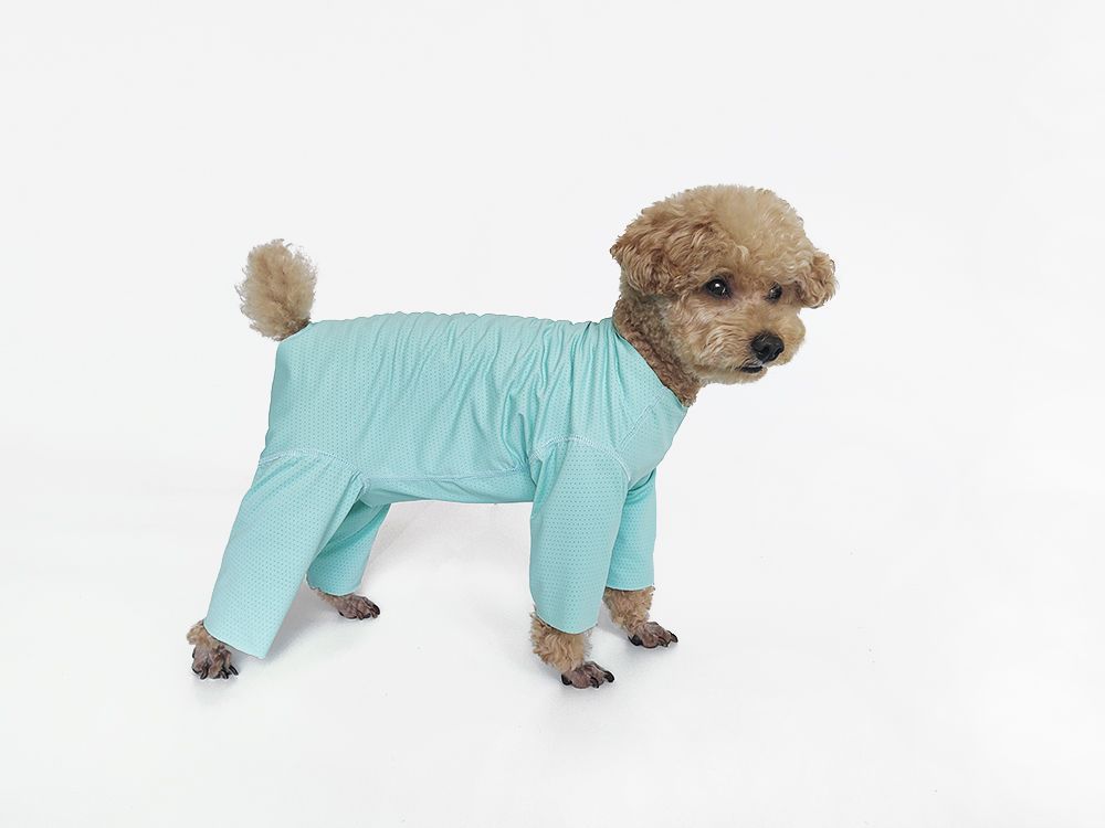 Svalkande hundklänning för bichon solskydd och insektskydd_voghion.com