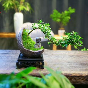 ����ѩ�辰���¼t�������U���҃ȴ�̨С�Gֲ���k���Ҳ����������