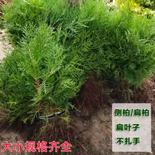 һlͥԺȰؾGؘȾGɰ؂Ȱ~ľ