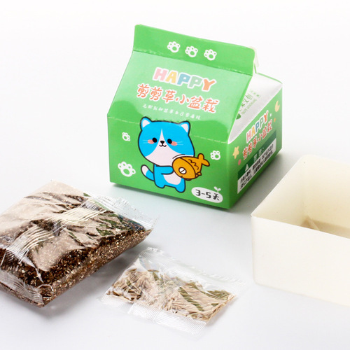 Children planting small potted plants wholesale kindergarten babies observe plant growth and germination students desktop green plant potted plants