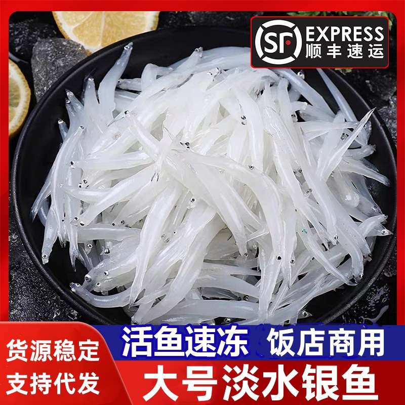 小银鱼新鲜速冻速冻面条鱼无骨无刺鲜冻大银鱼炖蛋海鲜水产批发