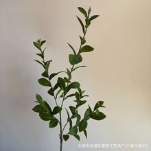 Gֲlؔ~֦٘~Ҿkܛb廨cֲ쾰