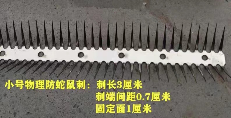 스몰 사이즈 강화/m (스테인리스 스틸)