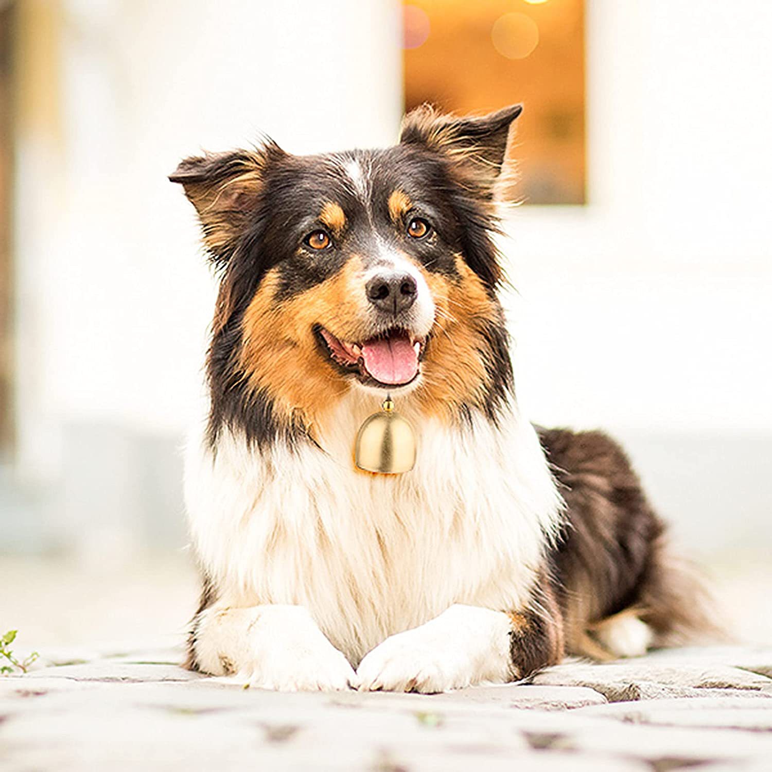 71zxGDEPsOS._AC_SL1500_