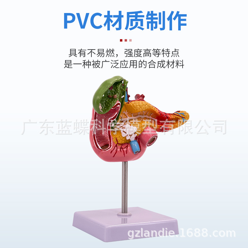 ��ѧ������������ʮ��ָ�����Ҳ���ģ�� ����ʯ�������ϵͳ�̾�