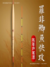 �޷���Ư����«έ��Ư�����Ӵ���Ŀ�׵���������������Ư