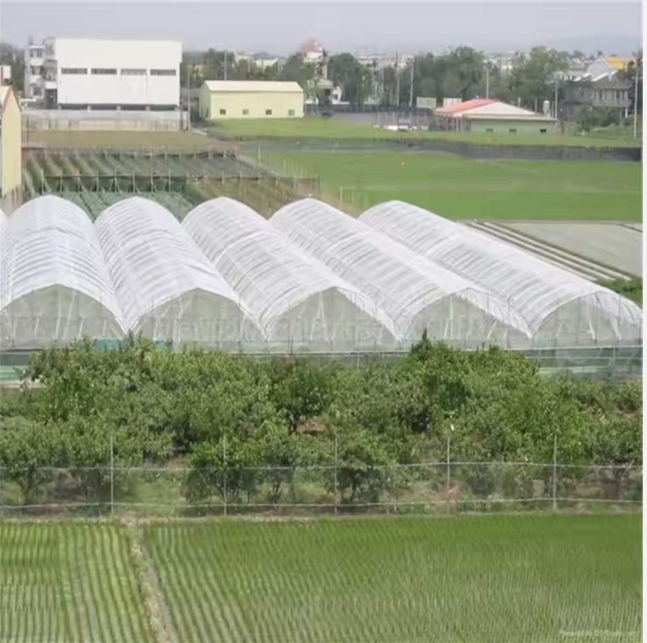 宜豪美牌高密度40目防虫网50目防虫网大棚种植专用pe纱网