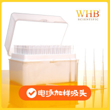 WHB电泳加样吸头200ul点样吸头蛋白上样枪头实验室耗材无菌低吸附