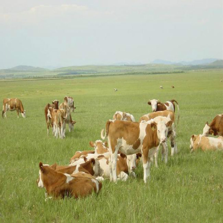 14aa5a05fbaee8bd_meitu_9