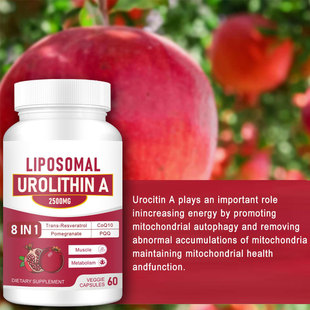 LIPOSOMAL UROLITHIN A Capsules ֬�|�w��ʯ��A�z�ҿ羳�H����