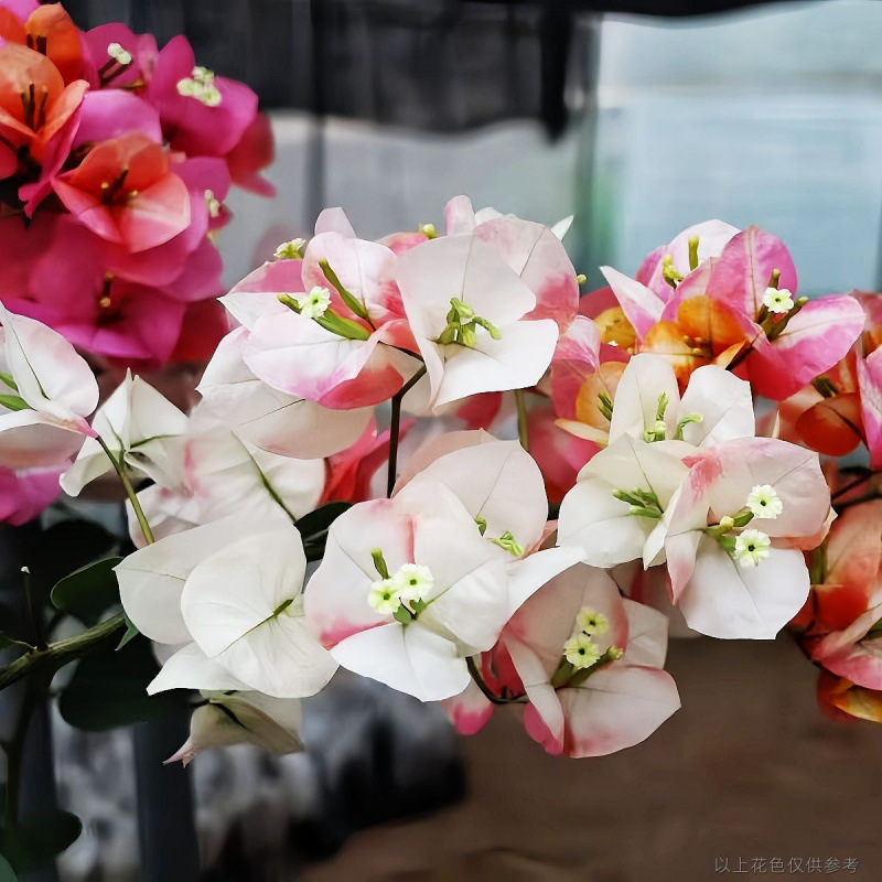 인기 신제품 (Nirvana Phoenix)