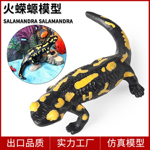 �羳�������ģ�ͷ����ϔ������~�|�~����������~��ͯ��ߔ[��