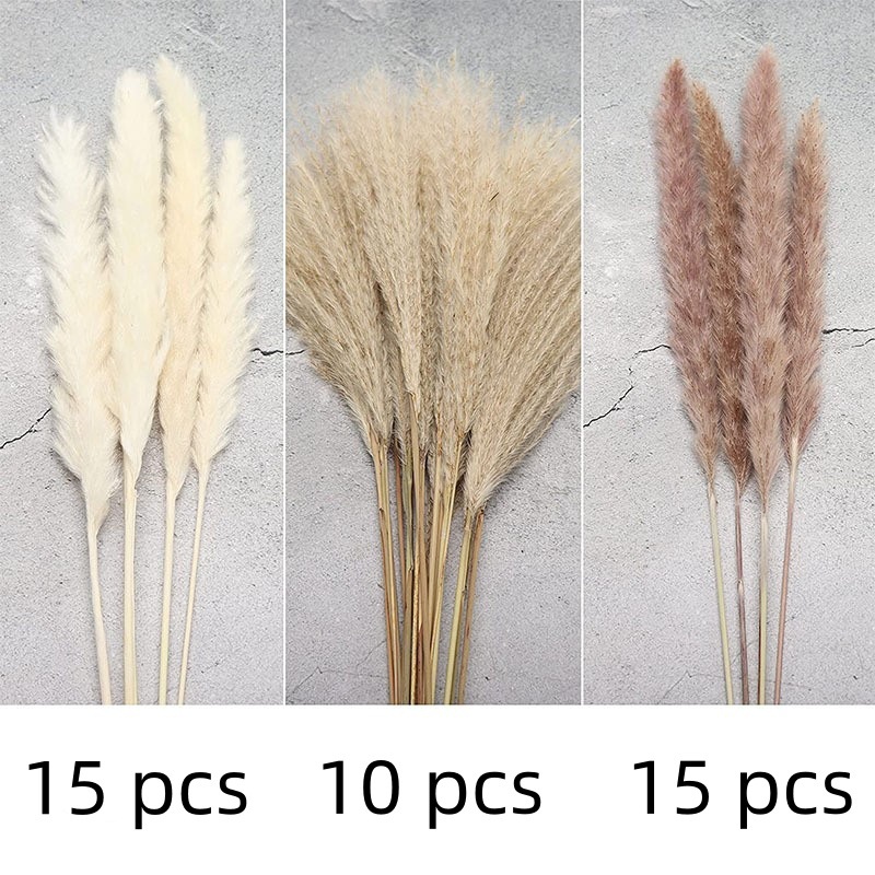 40개(상자 포함)