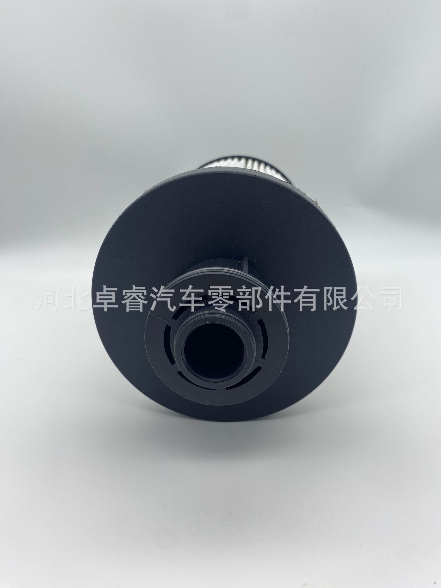 Source Manufacturer Spot Supply Car Filter 1125030-Ho2B0-Sfg Tianlong Flagship Cannon Filter Element