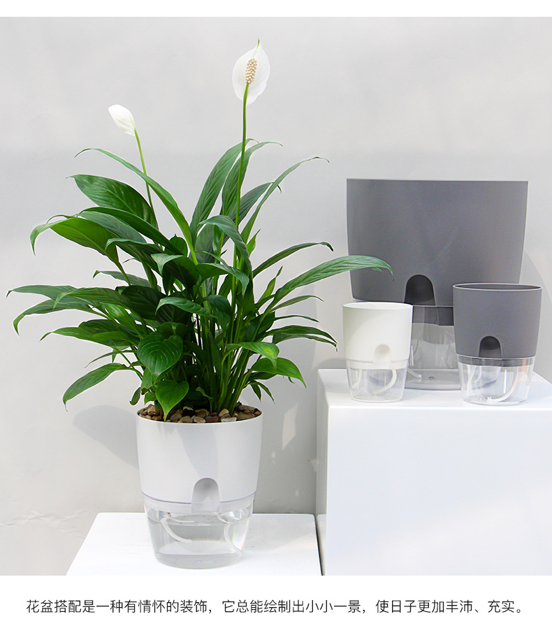 AS高透明系列_19