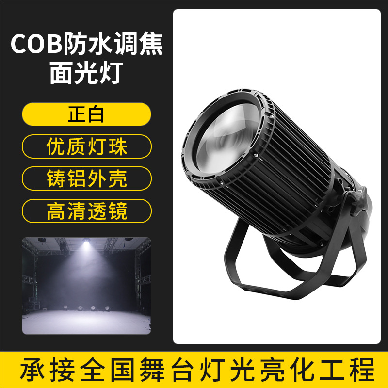 Luz de superficie de enfoque impermeable cob (blanca)