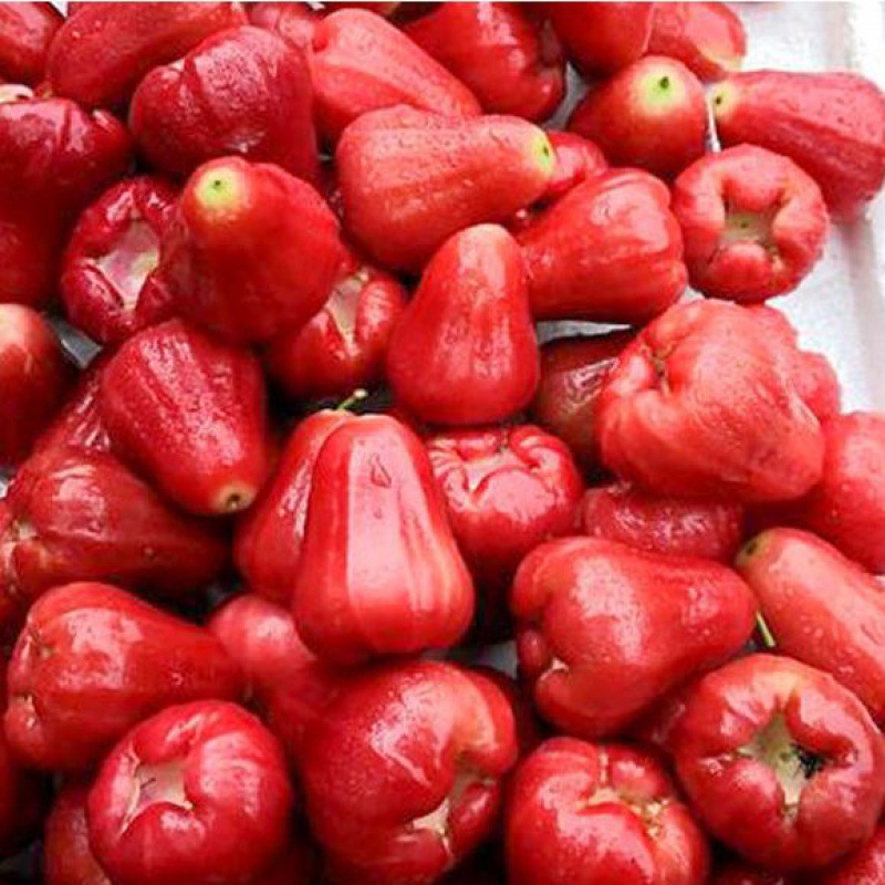 Wax apple Hainan Black King Kong 5 Full container Season pregnant woman fresh Tropical fruit 1-3 Jinsanya Specialty