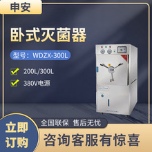 上海申安WDZX系列卧式高壓蒸汽滅菌鍋 實驗室壓力蒸汽消毒鍋