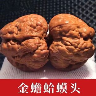 ��������ӑc����^ɽ�ع��P���ְѼ���Ůͨ��