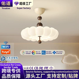 风扇灯;吸顶灯;吊扇