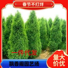 һlɘ猚ɰؘȰؘɰؘGͥԺļ