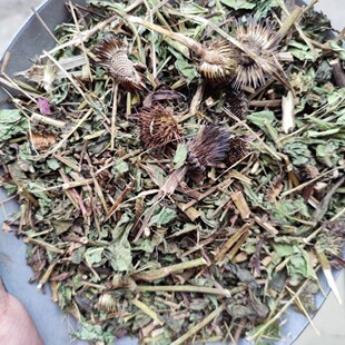 ��ș�� ���r�� ���F�� ���ɹ��� �ɹ���