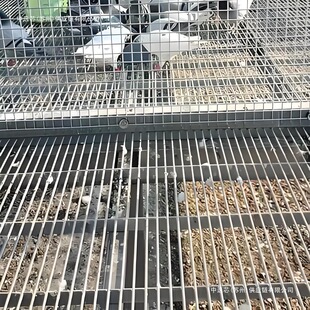 �Bֳ��\����W��ͨ�L䓸�Ų��P䓾WƬ�ؾW�S�Bֳ©䓸��䓸��