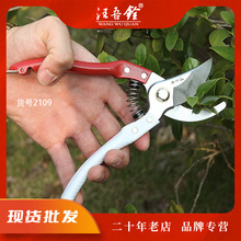 汪吾铨剪枝果树修枝剪刀树枝园林省力园艺剪刀修花sk5粗枝剪2109