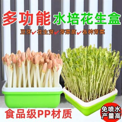 new pattern Peanut bud Hydroponics multi-function plant household Sprouts Sprouts Seedling tray Square Box