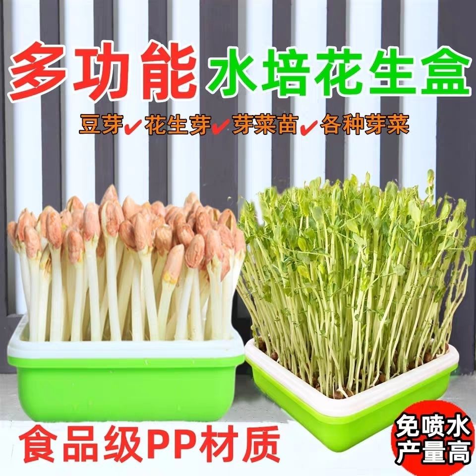 new pattern Peanut bud Hydroponics multi-function plant household Sprouts Sprouts Seedling tray Square Box