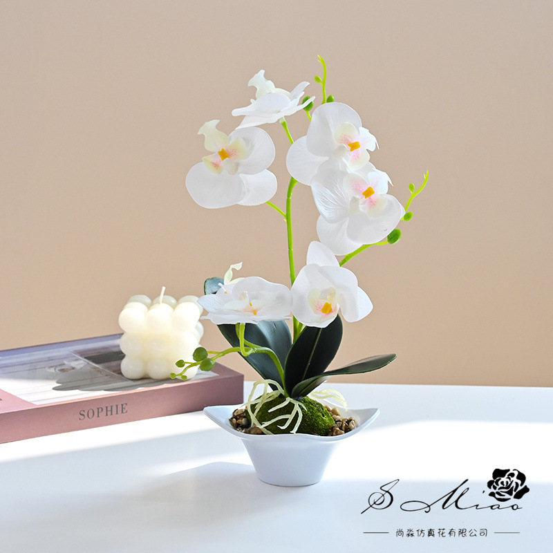 Nueva Phalaenopsis Bonsai de tres horquillas flor artificial decoración creativa Planta artificial suministro directo de fábrica de una sola pieza entrega image 10