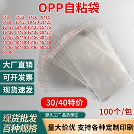塑料服装袋;其他塑料薄膜
