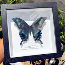 �G�����P��������˱����Y��[���b�Ů�����նY��520���˹�