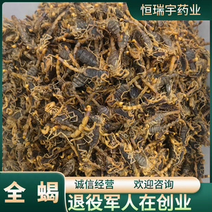 ��ș��ȫϐ�� ��ˮȫϐ ș�ü�ȫ�x �a��ֱ�� ֧�֙z�y ����ă�