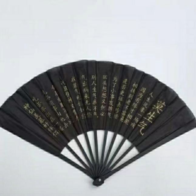 Cloth Fan Black Plastic Handle Foldableing Fan Summer Cooling Fan Chinese Style School Peripheral Hot Wholesale Foldableing Fan