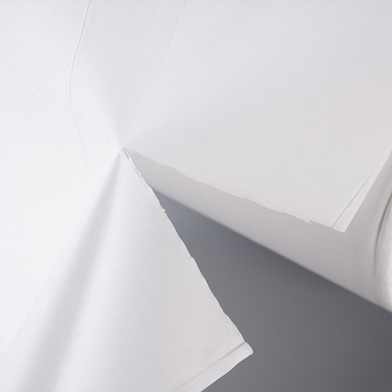 ˫��ͳ�ֽ������ˮ����ëм�����豸�������ר�ù�ҵ�ͳ�ֽ