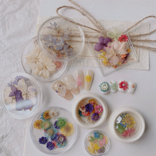 日系春夏美甲干花小花瓣饰品永生花天然超薄网红插画款真花指甲贴