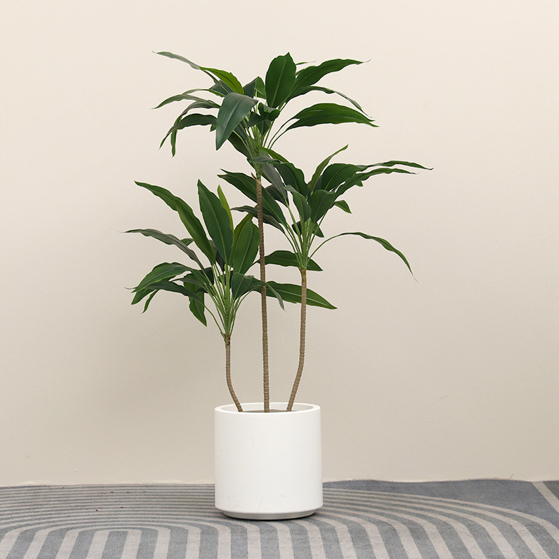 緑植ビロードの軽豪華な高級植物の置物をシミュレーションします。|undefined