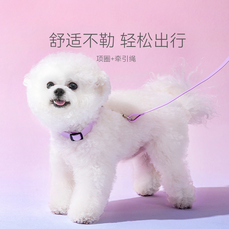 Perro macaron color collar Correa perros medianos y pequeños caminando cuerda perro mascota perno ajustable perro cuerda