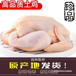 ���r�r�����u���S�u����F��ͯ���u���u��ֻ���]�חl�u���u����u