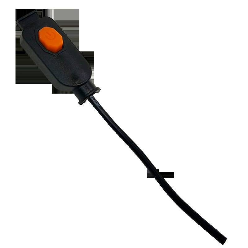 Electronic switch key