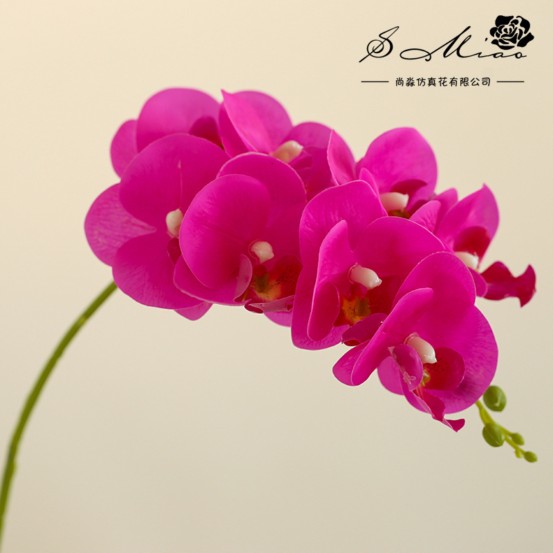 8 flores 3 hojas se sienten Phalaenopsis bonsai flor artificial de gama alta sala de estar decoración floral artificial en maceta flor artificial image 9