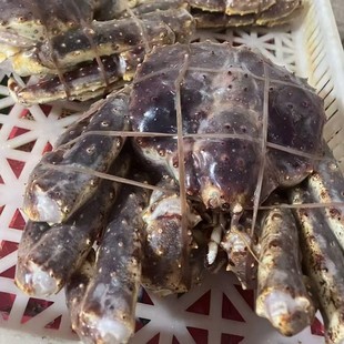 �ش���������з��ֻ3kg����]�����ʵ�з�r���ٶȳ��͜�����ۻ�