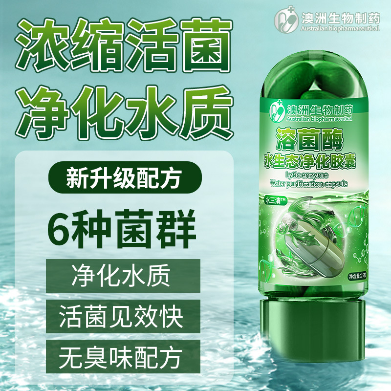 Powerful Polymer Water Purification Tablets Fish Tank Algae Removal Water Quality Purifier Aquarium Softening Salt Deodorization Cleaning