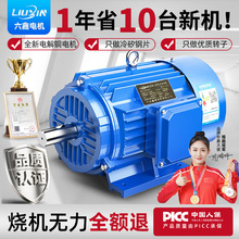 YE4高效节能三相异步电动机380v卧式1400转电动机全铜变频电机