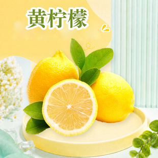 �Ĵ������S���� ���l1/2/3/5���̲�������S�♎�ʴ�����rˮ��